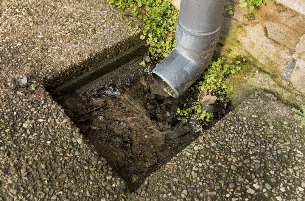 Drain Cleaning